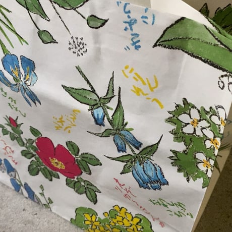 深川製 六花亭の湯呑と紙袋2点(大小) 坂本直行 さかもと なおゆき 画家 作  ミズバショウ 花の絵  深川製磁 富士流水のマーク  オールド深川 北海道名菓