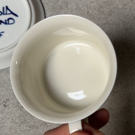 ARABIA アラビア (オールドアラビア) Valencia バレンシア コーヒーカップ＆ソーサー ハンドペイント 北欧ヴィンテージ 廃盤品　商品No.1