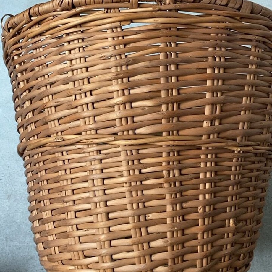 64dee35340aa62003d2e8376
