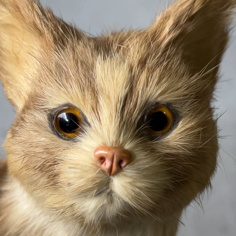 1970年代大丸販売品 猫の置物 リアルファー 茶虎 ヴィンテージドール