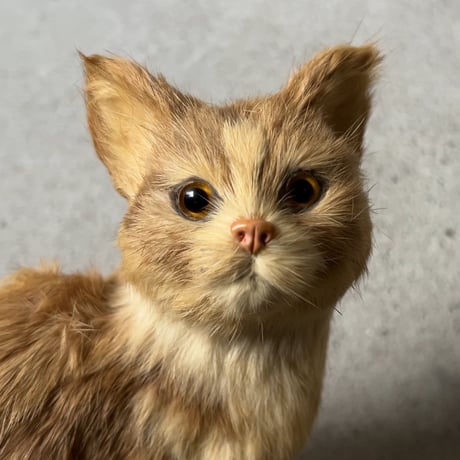 1970年代大丸販売品 猫の置物 リアルファー 茶虎 ヴィンテージドール 人形 剥製級のリアルさ  珍品