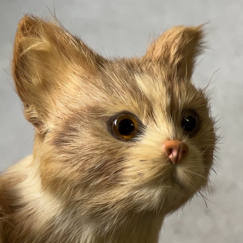 1970年代大丸販売品 猫の置物 リアルファー 茶虎 ヴィンテージドール