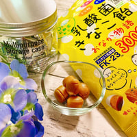 おなか物語　乳酸菌きなこ飴　10袋　送料無料