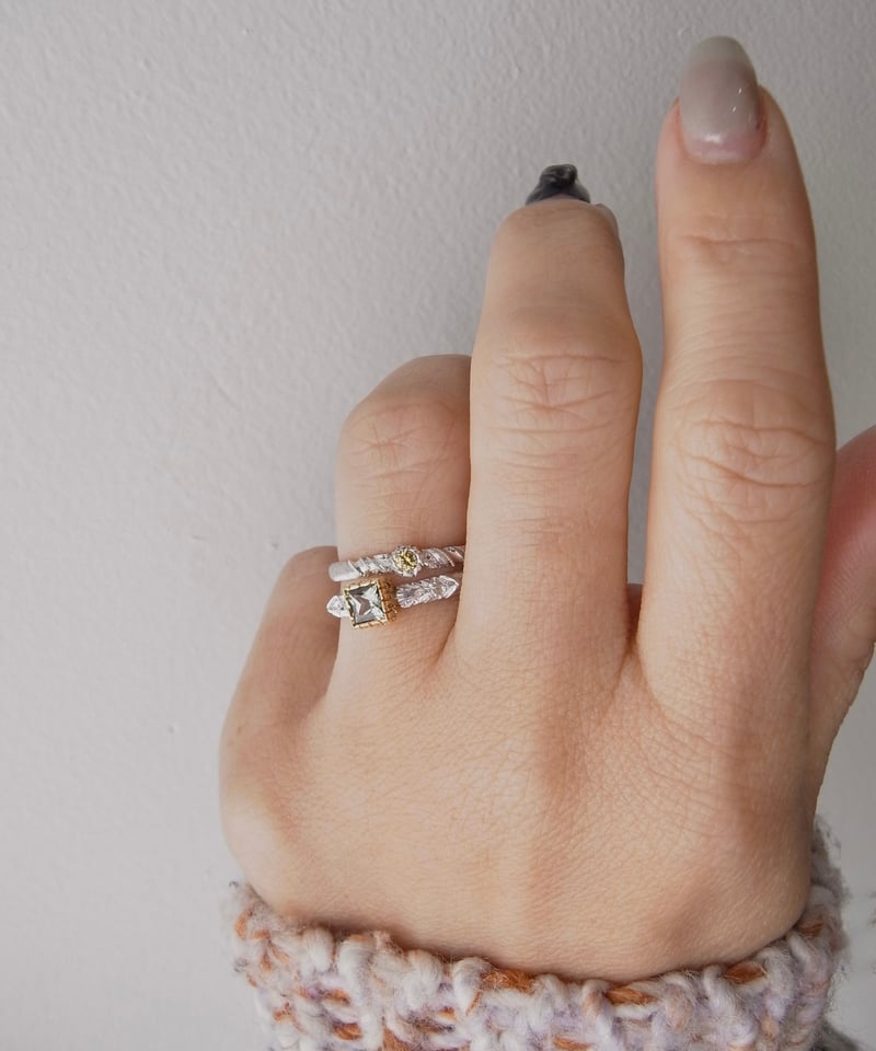 La Filosofia di Yasushi Sekine】R-30 | Wild Roq