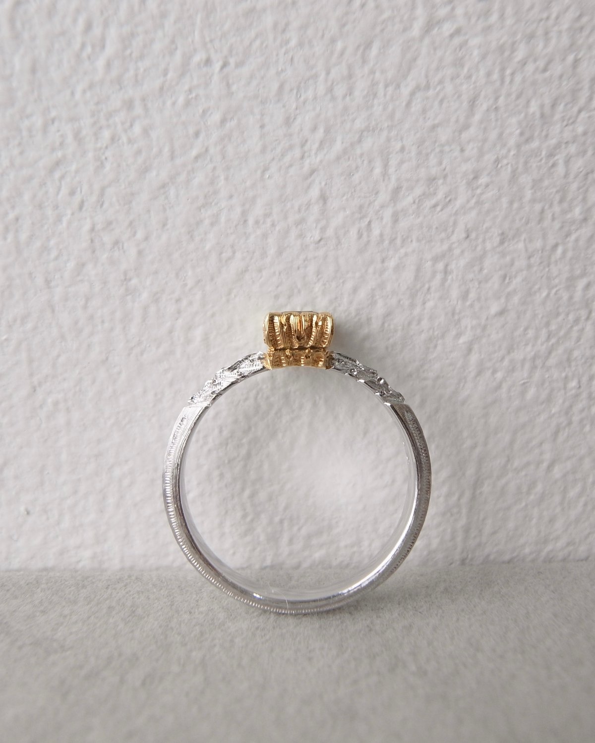 La Filosofia di Yasushi Sekine】R-30 | Wild Roq