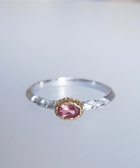 CATEGORY La Filosofia di Yasushi Sekine | Wild