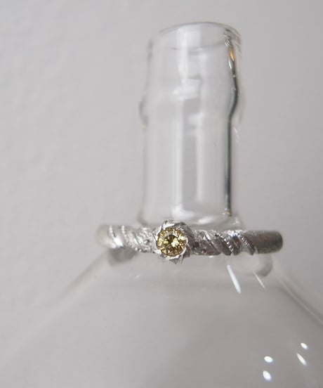 CATEGORY La Filosofia di Yasushi Sekine | Wild