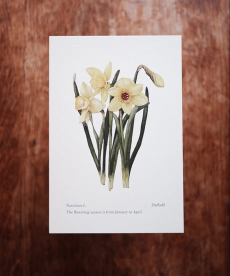 16:FIRST SPRING / SPRING EQUINOX