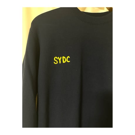 Original Item "Hand Paint" Sweat Shirt