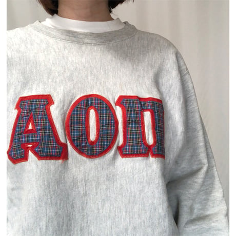 80's Champion Reverse Weave  Sweat Shirt