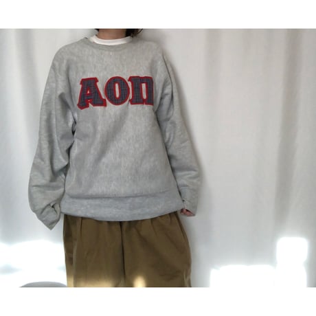 80's Champion Reverse Weave  Sweat Shirt