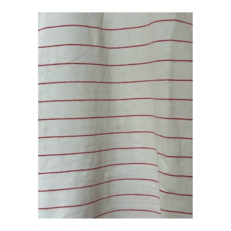 Reg "IZOD LACOSTE" Polo Shirt