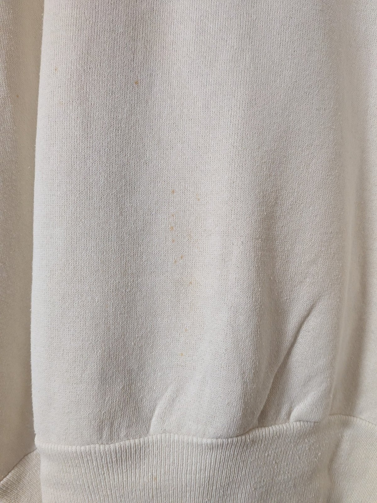 80s Champion Disney Mickey Mouse Sweatshirt | 佐