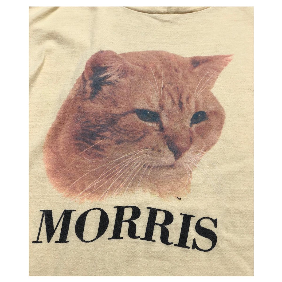 Morris the shop cat shirt