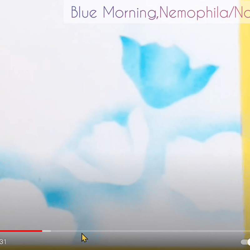 型紙13】青い朝、ネモフィラ | なないろパステル