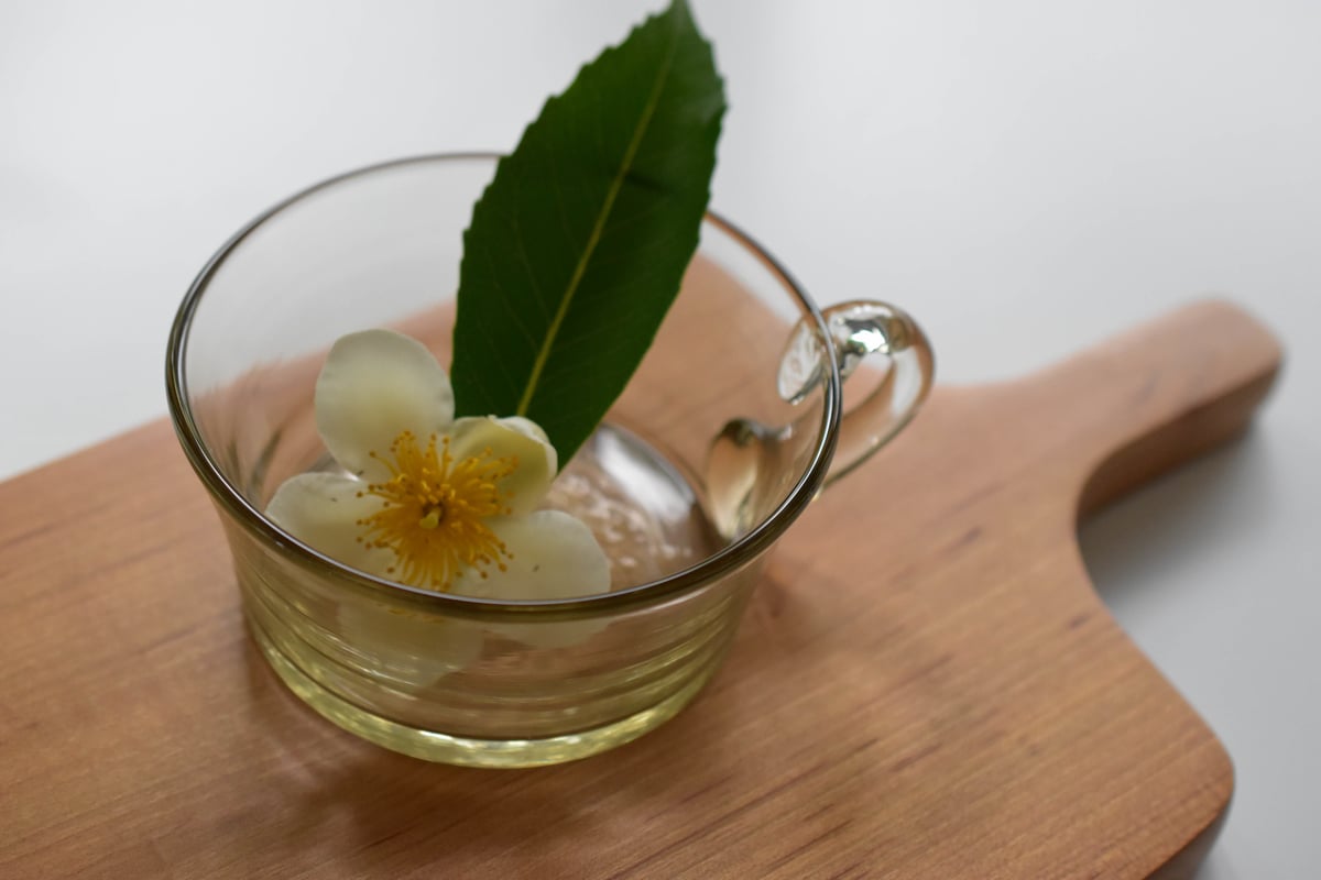 アイスクリームカップ スモーク／三浦侑子 | うつわと暮らし 凛 ONLINE