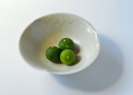 再値下げ　竹下努　22cm 平皿　4枚セット　使用品/訳あり CATEGORY 竹下努 / Tsutomu Takeshita | 黄魚オンラインショップ