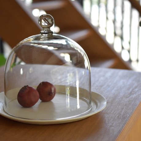 三浦侑子 | STORES