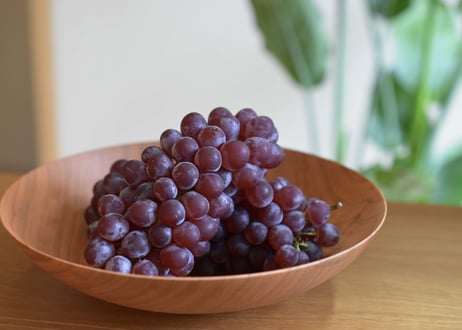 CATEGORY 大鉢 | うつわと暮らし 凛 ONLINE SHOP