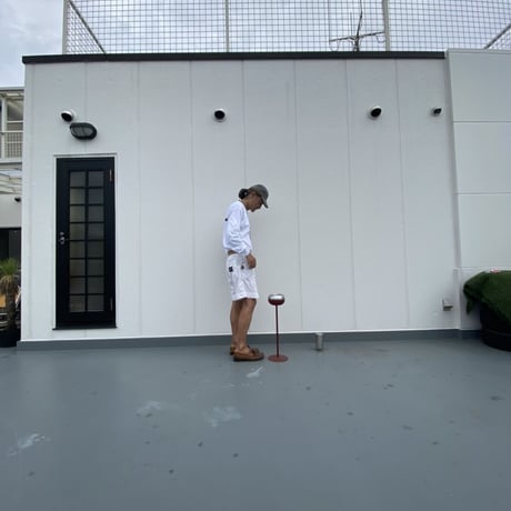NO ACTION  ＋− L/S  WHITE WHITE