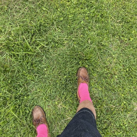 SAN FRANCISCO.NNECT.  LOGO SOCKS 2PAIRS PINK×PURPLE  NVY×ORG