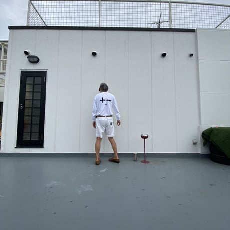 NO ACTION  ＋− L/S  WHITE WHITE