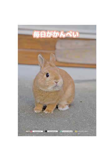 うさぎ うさぎのしっぽ通販は、『うさぎと暮らす 87号』を全国へお届け