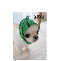 【予約販売】 チワワのUNI＆EBI 犬 2026年 A5スケジュール帳 A526119