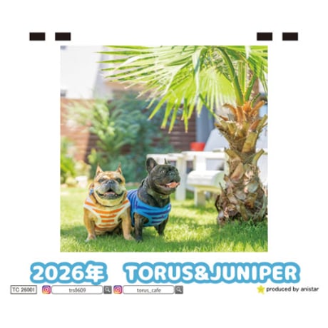 【予約販売】 フレンチブルドッグ torus トーラス 犬 2026年 卓上 カレンダー TC26035