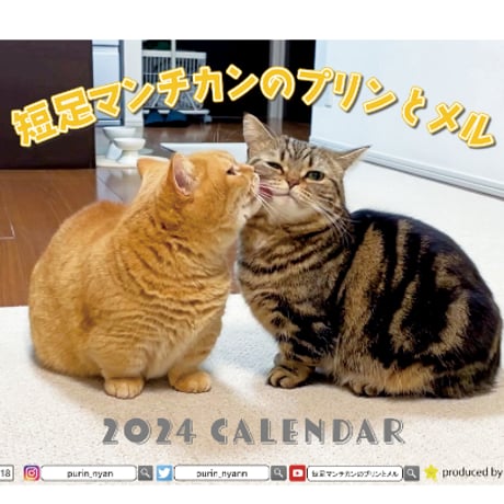 【予約販売】 短足猫 マンチカンのプリンとメル 2024年 卓上 カレンダー TC24118