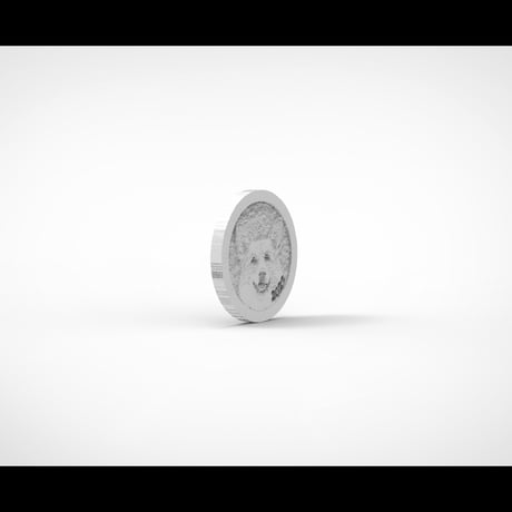 【予約販売】 初めてのコーギー 2022年 イヤーコイン Year Coin YC2203