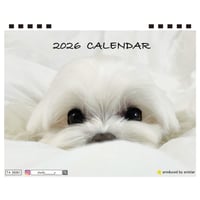 【予約販売】 シェリー マルチーズ 犬 2026年 卓上 カレンダー TA26359