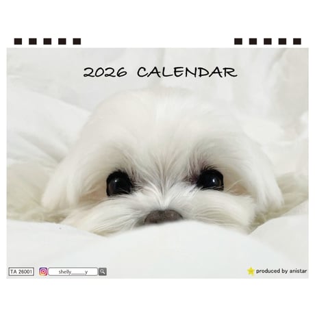 【予約販売】 シェリー マルチーズ 犬 2026年 卓上 カレンダー TA26359