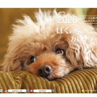 【予約販売】 ディノ トイプードル 犬 2026年 卓上カレンダー TA26065