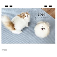 【予約販売】 レモンとポテチ 猫 犬 猫のレモンと犬のポテチちゃんねる 2026年 卓上 カレンダー TC26308