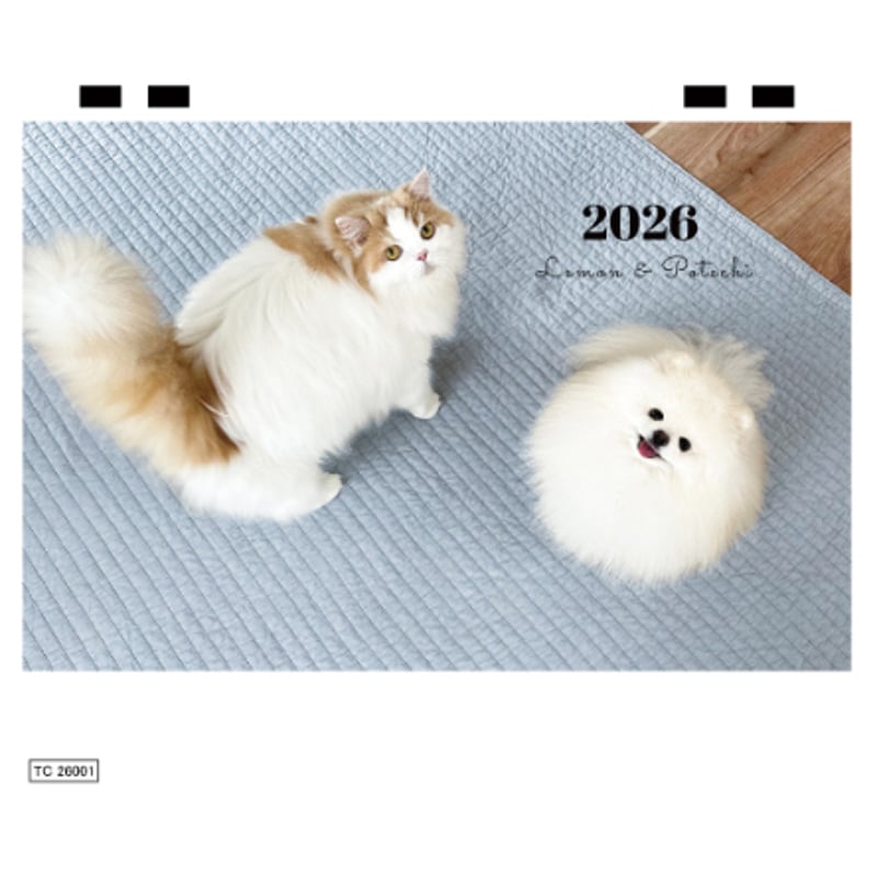 予約販売】 レモンとポテチ 猫 犬 猫のレモンと犬のポテチちゃんねる