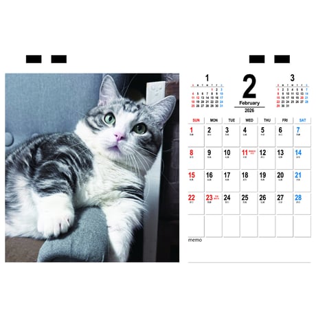 【予約販売】 パンちゃんファミリー 猫 2026年 卓上カレンダー TC26164