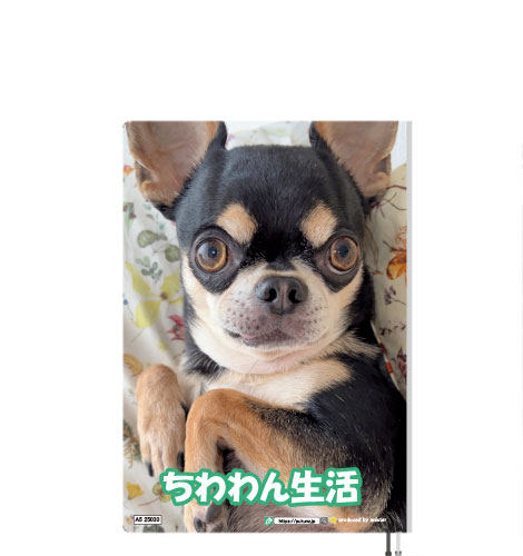 予約販売】 チワワ犬のちわわん生活 2025年 A5スケジュール帳 予約販売】 チワワ犬のちわわん生活 2025年 A5スケジュール帳