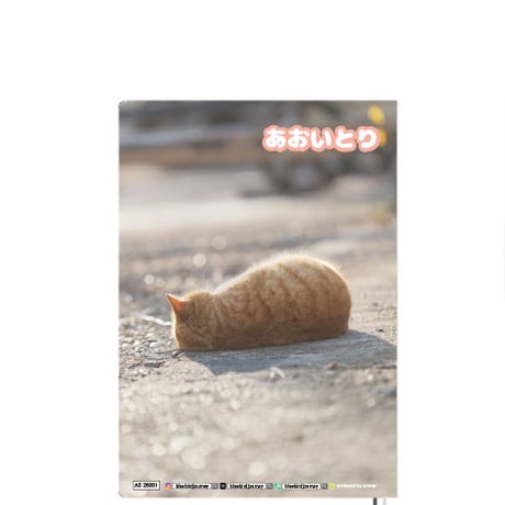 【予約販売】 あおいとり 猫 2026年 A5スケジュール帳 A526114