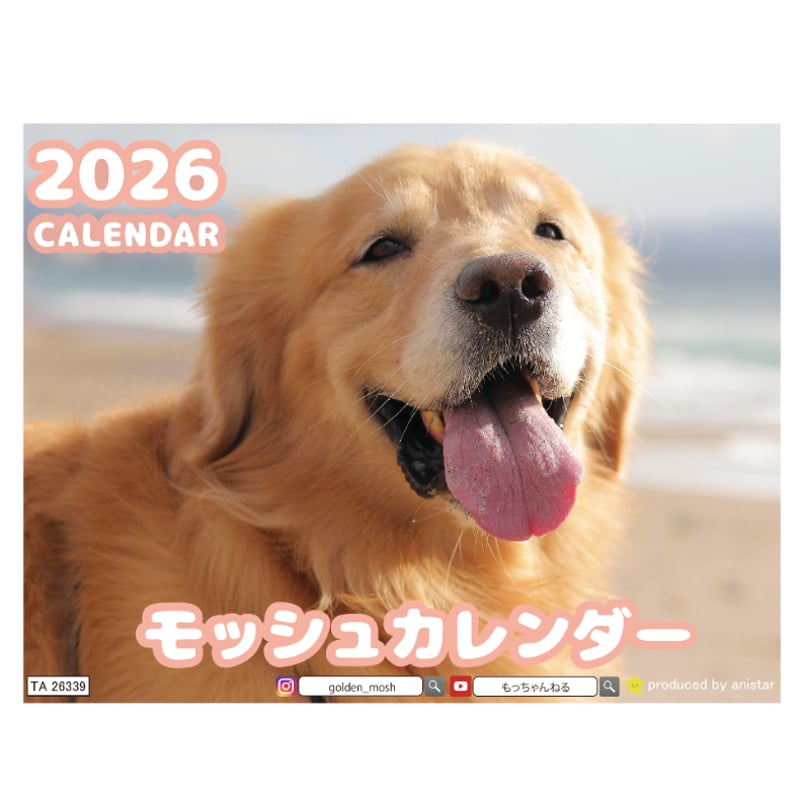 予約販売】 モッシュ ゴールデンレトリバー 2026年 卓上 カレンダー
