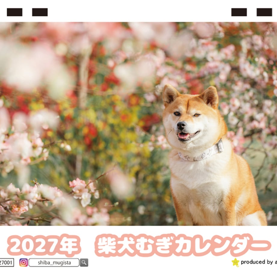 6a9961b5d356f700019cc19a