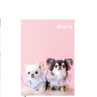 【予約販売】 チワワ犬のUNI＆EBI 2025年 日記帳 DR25241