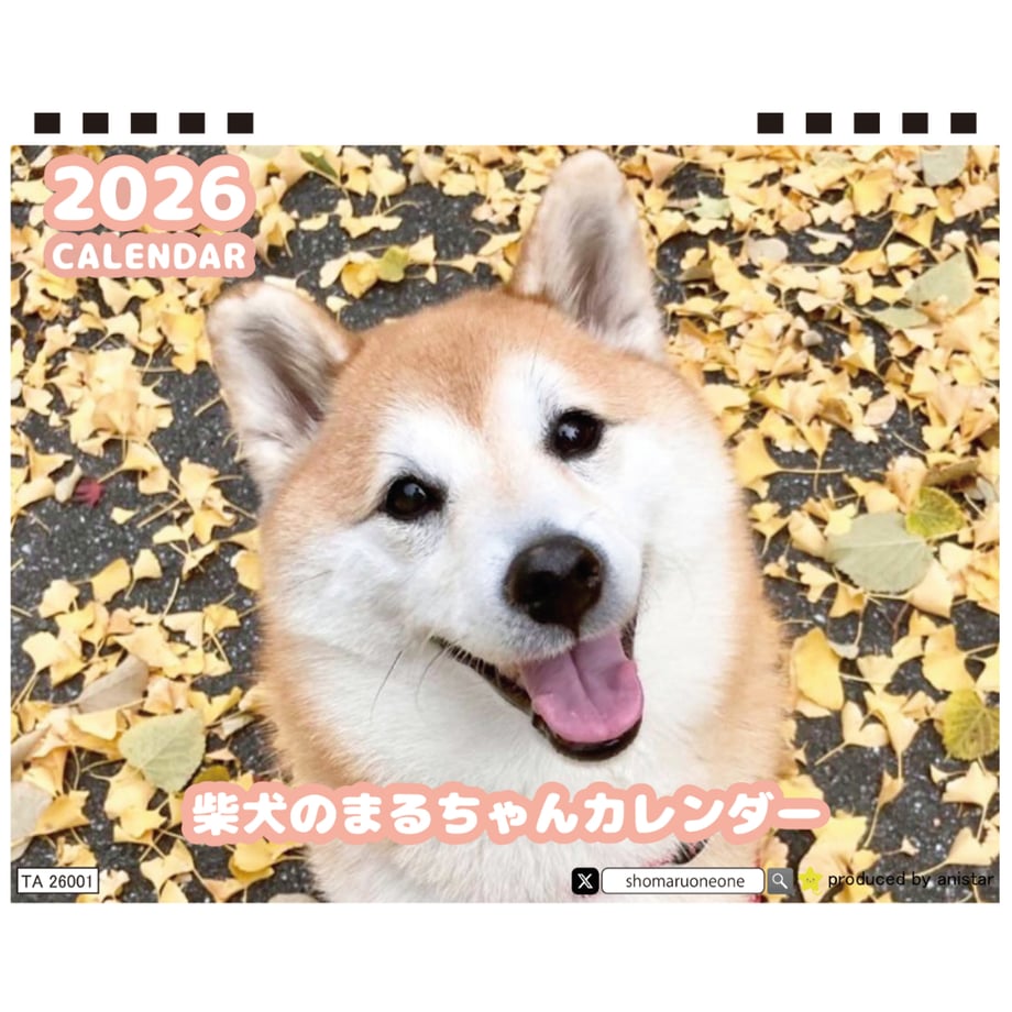 68dc8f88dbaefd06c719a8ab