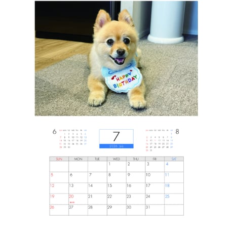 【予約販売】 ポメラニアンのポメくん 犬 2026年 壁掛け カレンダー KA26344
