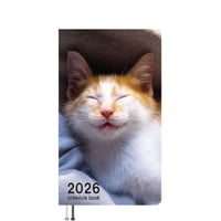 【予約販売】 吾輩は猫ニートである。 ぼると 2026年 ポケットスケジュール帳 PO26357