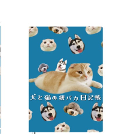 あおねこ on X: 