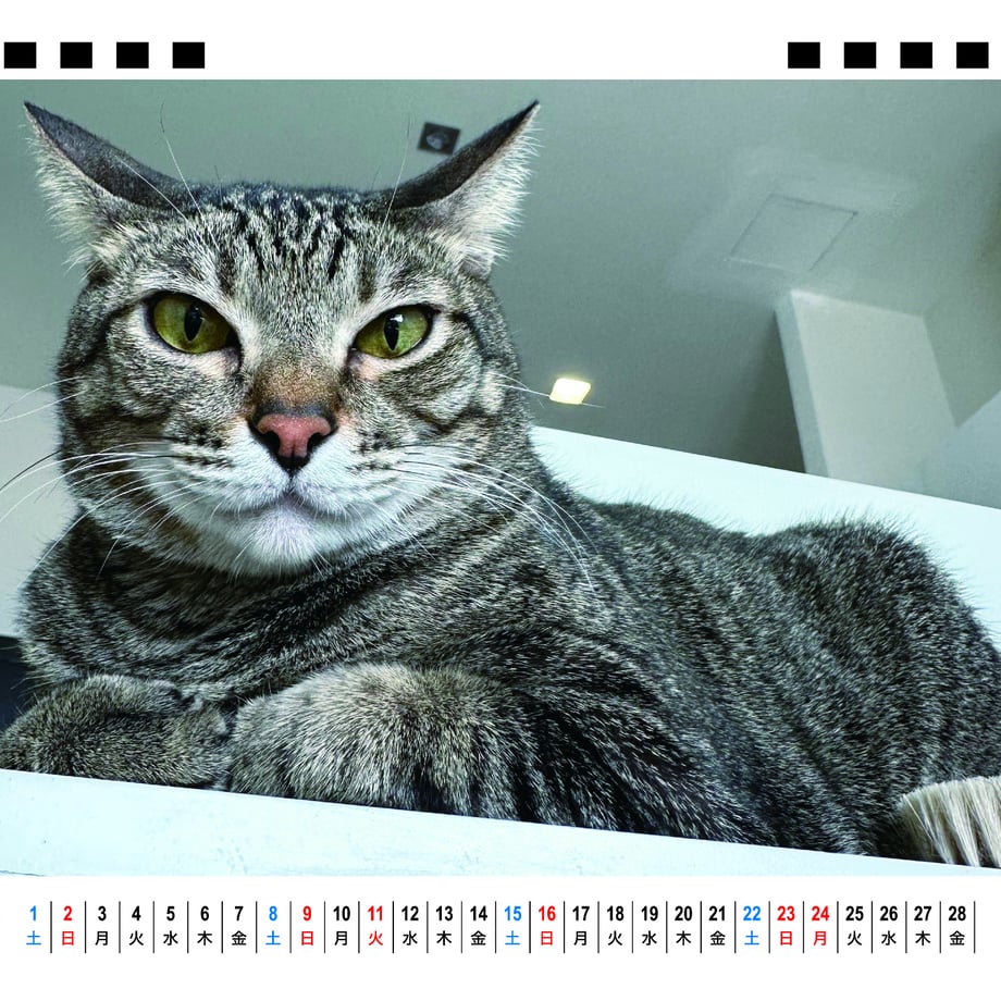 66f666934961f50001035773