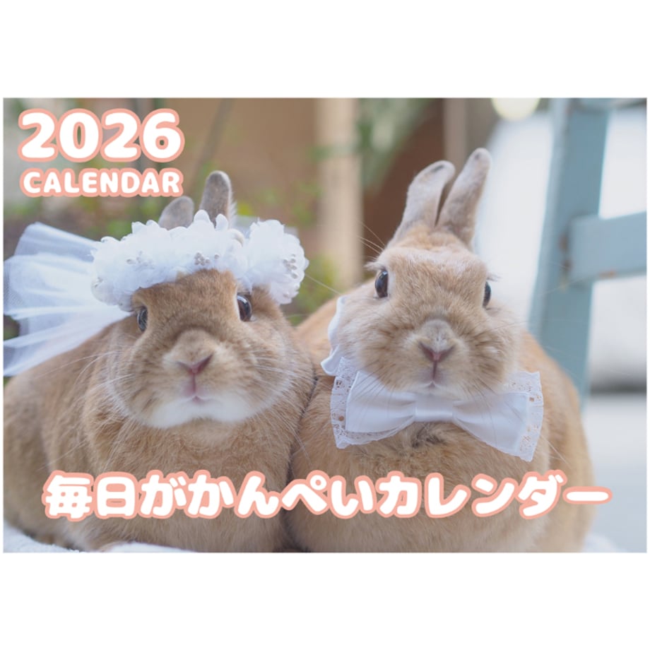 68bf67a5ce75b2339596373c