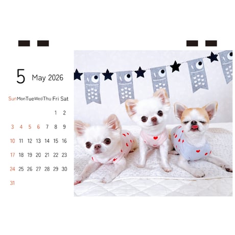 【予約販売】 おもちちゃん＆おかゆちゃん＆おしるこくん チワワ 犬 2026年 卓上カレンダー TC26189