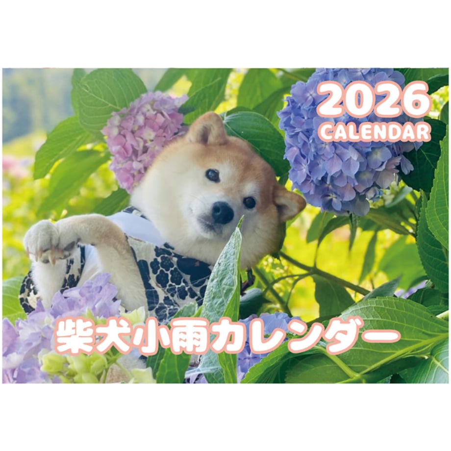 68b8dc2c85c3379b6180a902